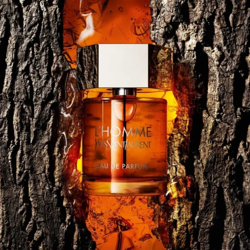 Yves Saint Laurent - L'Homme - Eau de Parfum
