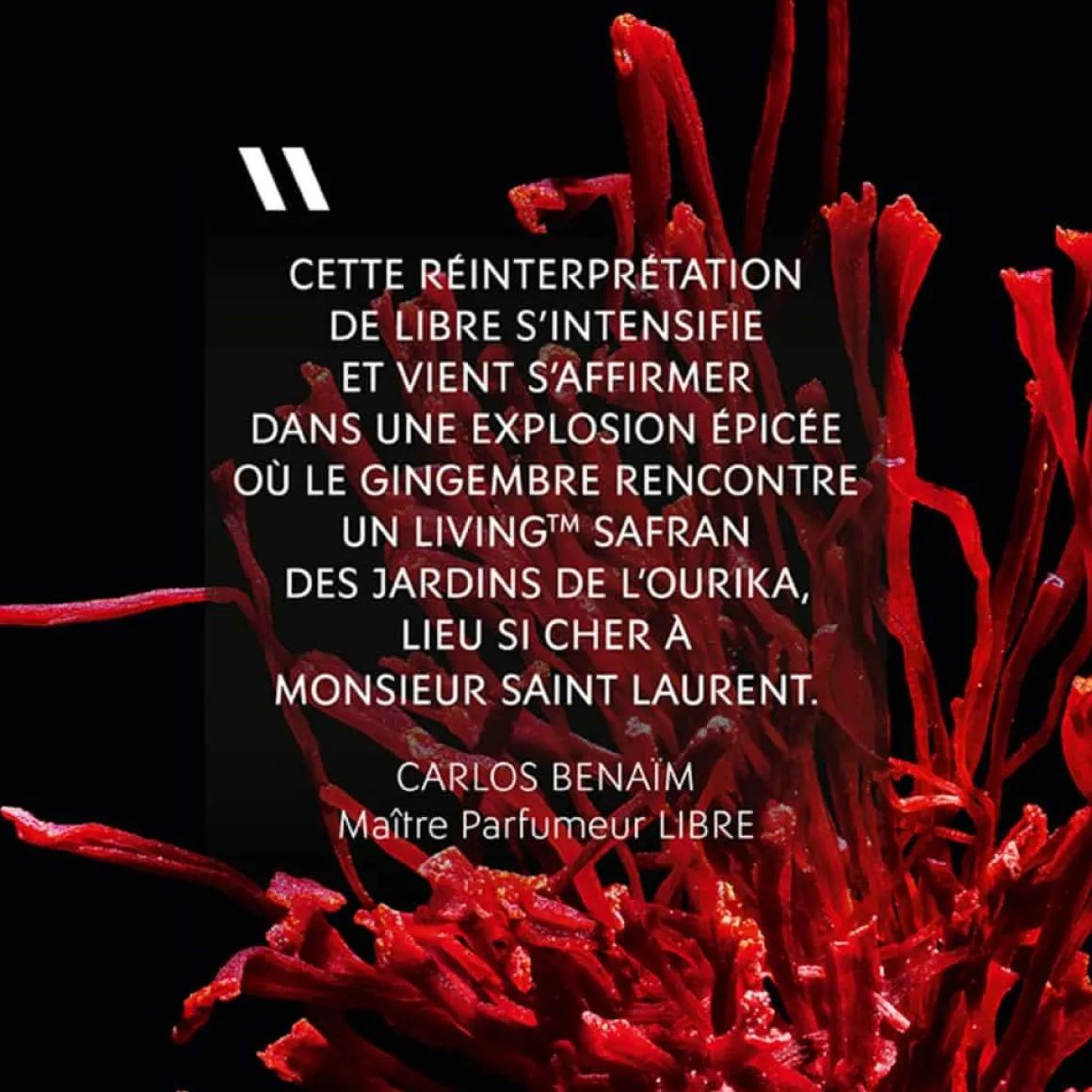 Yves Saint Laurent - Libre Le Parfum - Eau de Parfum