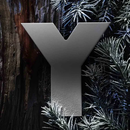 Yves Saint Laurent - Y Parfum fougère ambré pour homme