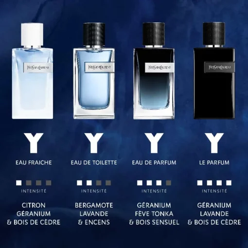 Yves Saint Laurent - Y pour Homme - Eau de Toilette