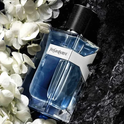 Yves Saint Laurent - Y pour Homme - Eau de Toilette